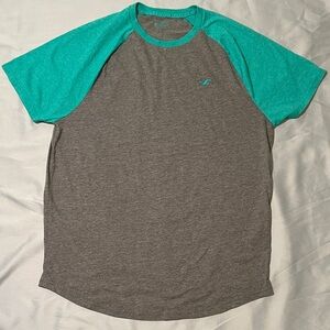 Hollister Gray and Green Tee Size Large with sea gull logo